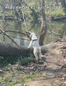 Adventures with Zoé