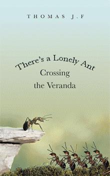There’s a Lonely Ant Crossing the Veranda