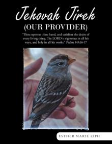 Jehovah Jireh  (Our provider)