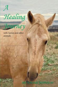 A Healing Journey