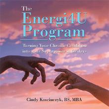 The Energi4U Program