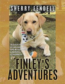 Finley's Adventures