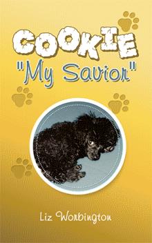 Cookie "My Savior"