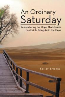 An Ordinary Saturday