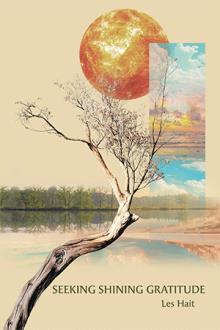 Seeking Shining Gratitude