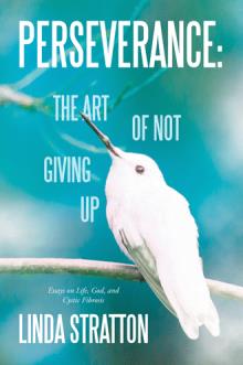 Perseverance: The Art of Not Giving Up