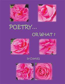 POETRY…OR WHAT?