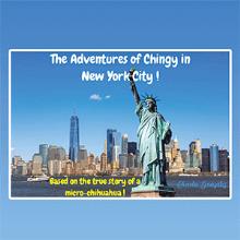 The Adventures of  Chingy  in New York City!
