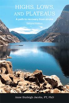 Highs, Lows, and Plateaus: A path to recovery from stroke