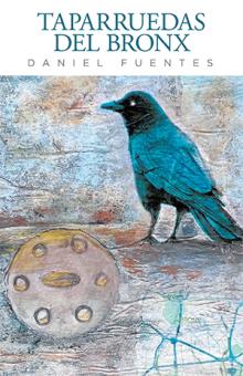 TAPARRUEDAS   DEL BRONX