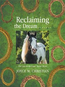 Reclaiming the Dream…….