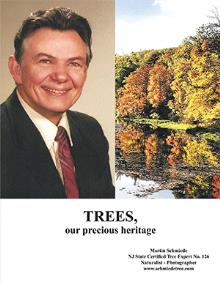 Trees, Our Precious Heritage Trees, Our Precious Heritage