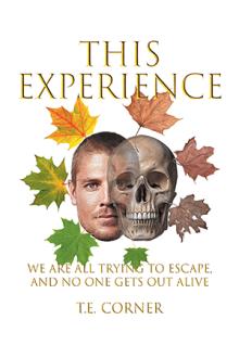This Experience