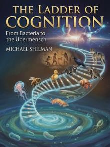 The Ladder of Cognition