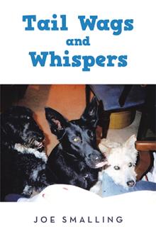 Tail Wags and Whispers