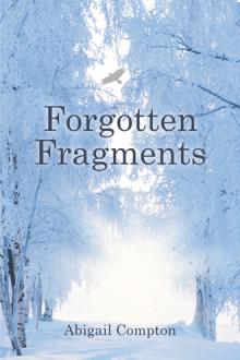 Forgotten Fragments