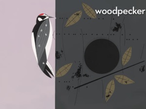 peekaboo forest woodpecker