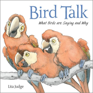 Brid Talk