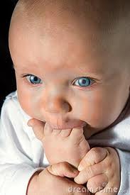 So much for your Newbery Medal, etc.