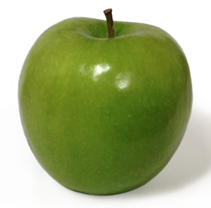 Off to a fresh start