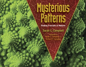 campbell_mysterious patterns