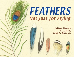 stewart_feathers not just for flying