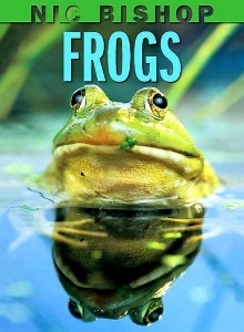bishop_Frogs