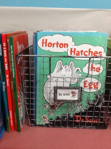 Nicole_Hewes_Classroom_Library_2