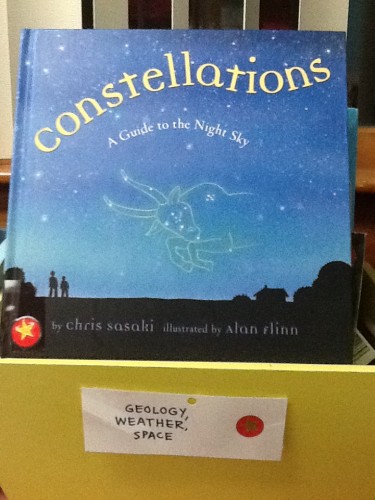 Nicole_Hewes_Classroom_Library_4