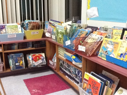 Nicole_Hewes_ Classroom_Library_5