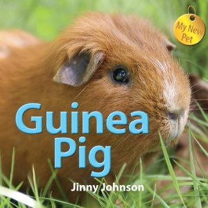 johnson_guinea pig