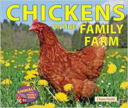 stiefel_chickens on the family farm