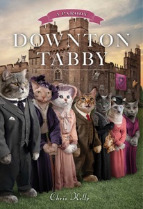 kelly_Downton Tabby