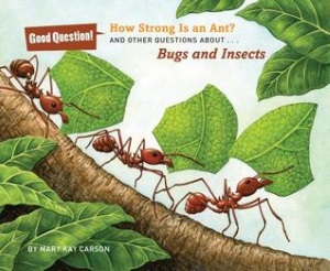 carson_how strong is an ant