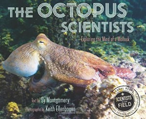 montgomery_octopus scientists