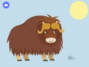 arctic musk ox
