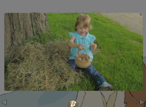 cow in patrick's kitchen video