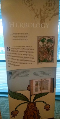 harry potter's world herbology