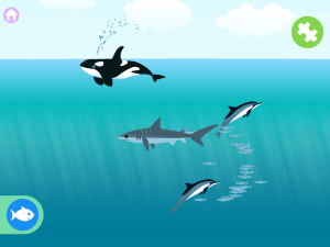 marcopolo ocean biome