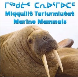 inhabit_marine mammals