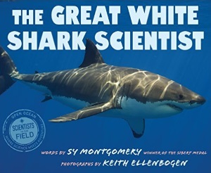 montgomery_great white shark scientist