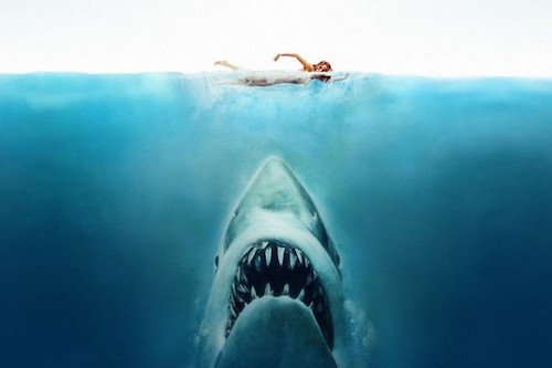 06-shark-attack-620x413
