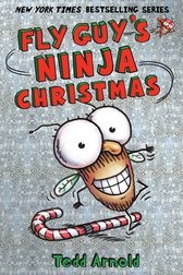 arnold_fly-guys-ninja-christmas