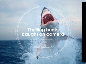 story-of-life-thrilling-hunts