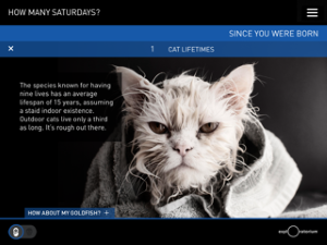 how many saturdays cat lifetime