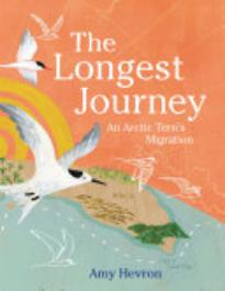 Review of The Longest Journey: An Arctic Tern’s Migration