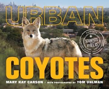 Urban Coyotes 