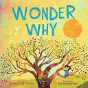 Review of Wonder Why