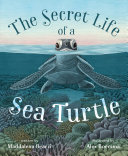 Review of The Secret Life of a Sea Turtle