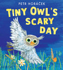 Review of Tiny Owl’s Scary Day